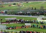 A Cheltenham Festival winner is the goal of every owner, trainer, jockey and racegoer