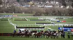 The Champion Bumper at Cheltenham  produces some very interesting statistics from a punters point of view
