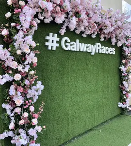 Galway Festival Races