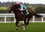 Could the outstanding Frankel race in France after running in the Juddmonte International at York