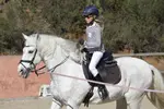 Horse Clubs and Horsemanship: A Beginner's Guide to Safe Riding & Community