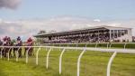 National Hunt Flat Race
