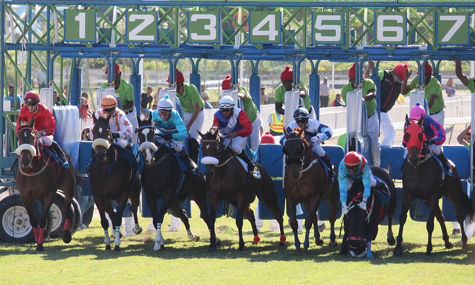 Breeders Cup Contenders