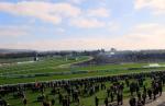 Cheltenham Racecourse by Kate Tann