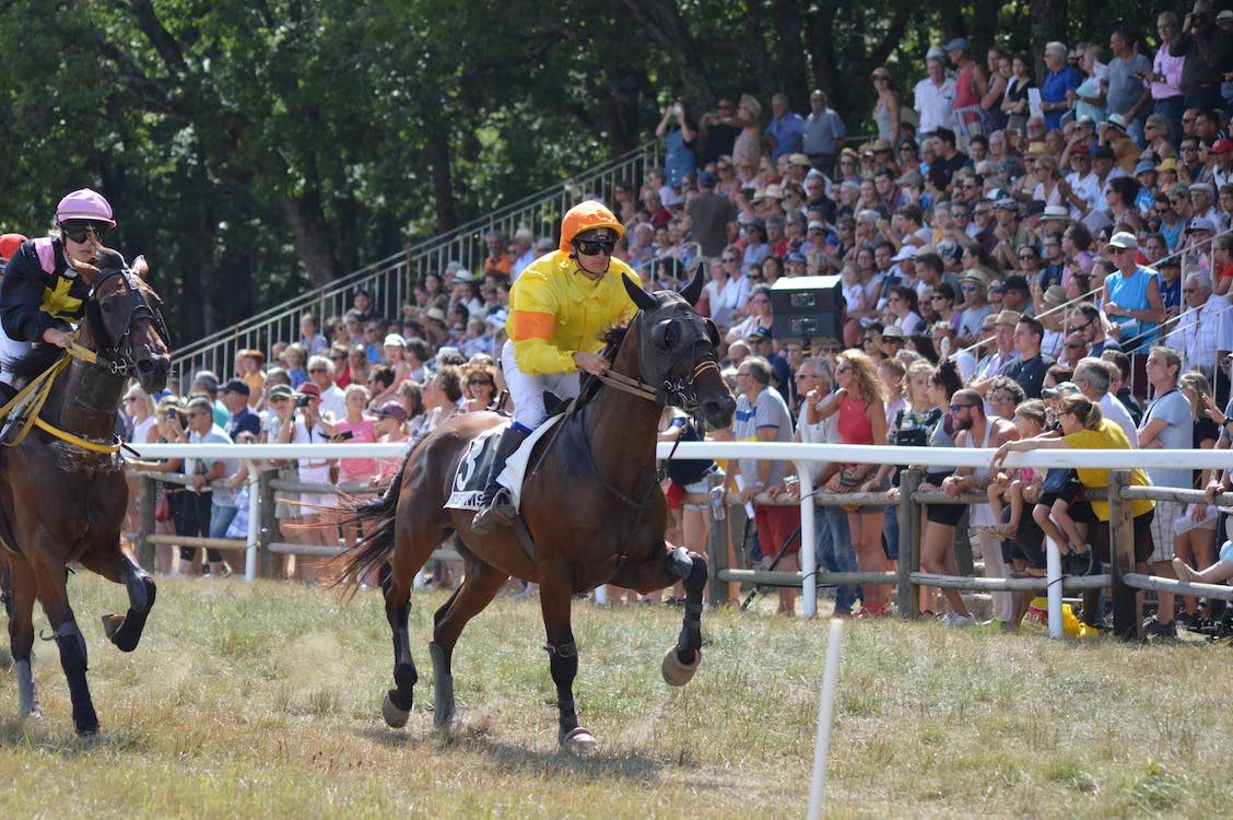 Horse Racing