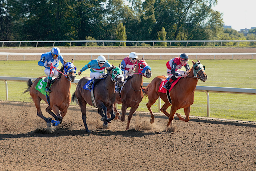 American Horse Racing