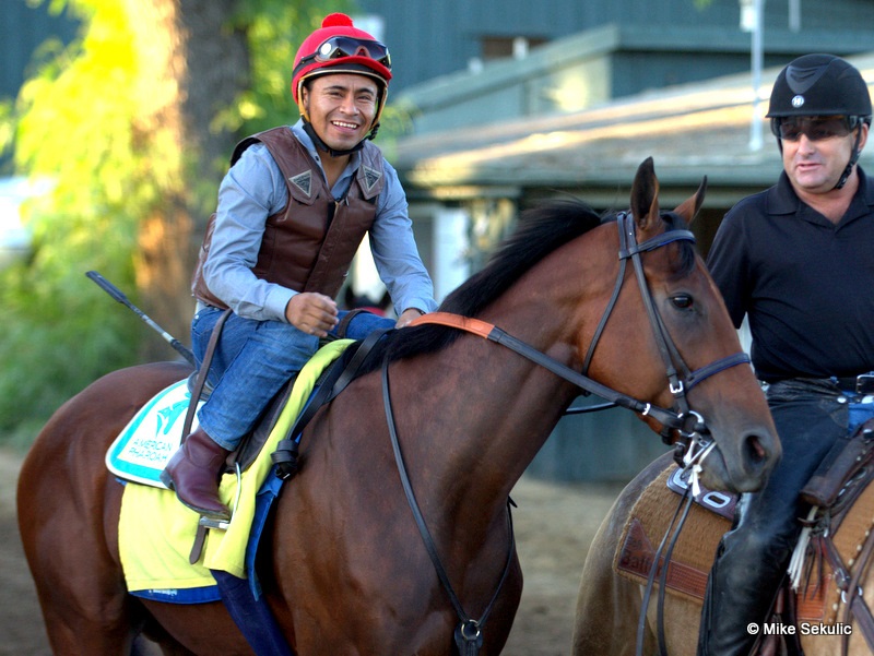 Champion Racehorse American Pharoah Champion Racehorse American Pharoah