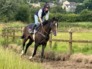 Beyond The Verge with Amanda