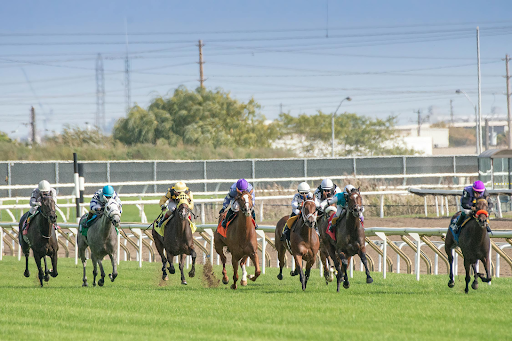 The challenges facing horse racing worldwide