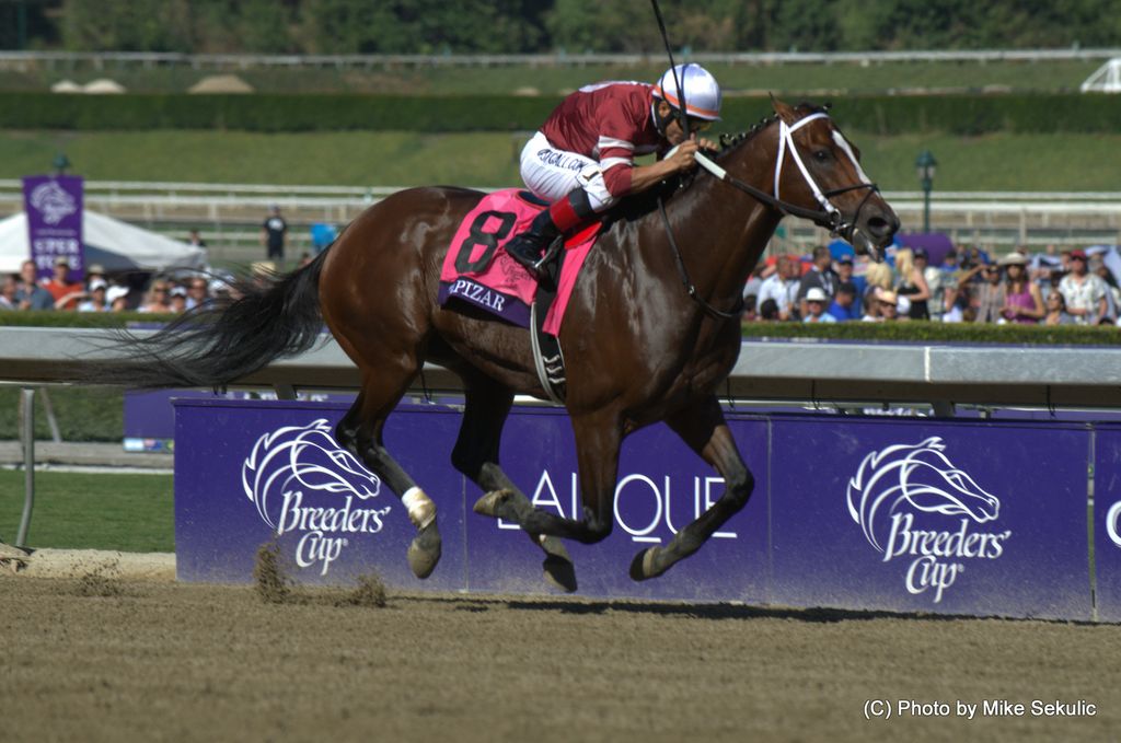 Prestige of the Breeders Cup Championships Prestige of the Breeders Cup Championships