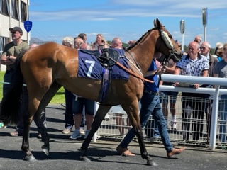 Buddy – unlucky to be 2nd after a mid air collision.