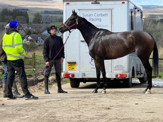Champ Royal  And Owners