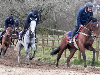 Clear Angel Rocky And Bob