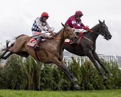 Delta Work gets the better of Galvin in the Glenfarclas Cross Country Chase