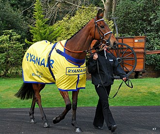 Cue Card