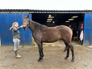 Daughter of Ebony Rose by Schiaparelli age 2