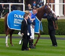 2000 Guineas Winner Dawn Approach
