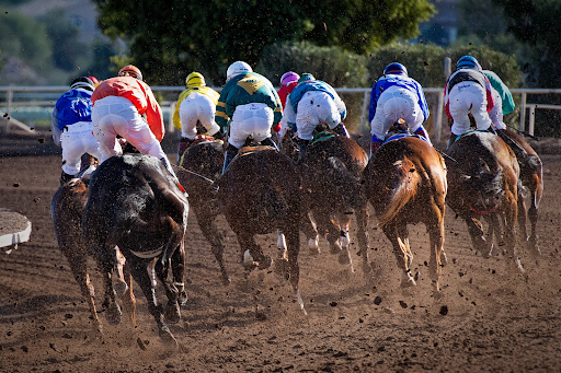 Turf Paradise race track in Phoenix, Arizona Turf Paradise race track in Phoenix, Arizona