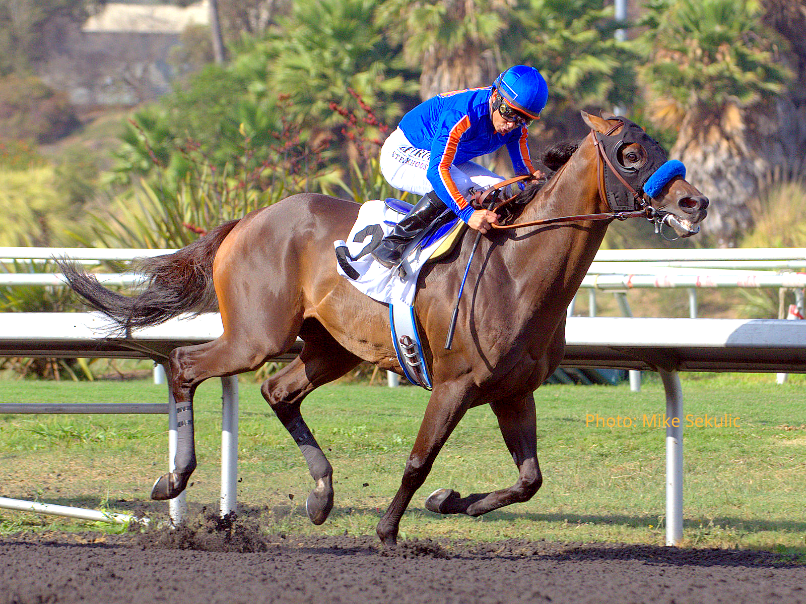 Game On Dude wins Hollywood Gold Cup