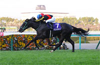 Hanshin Racecourse