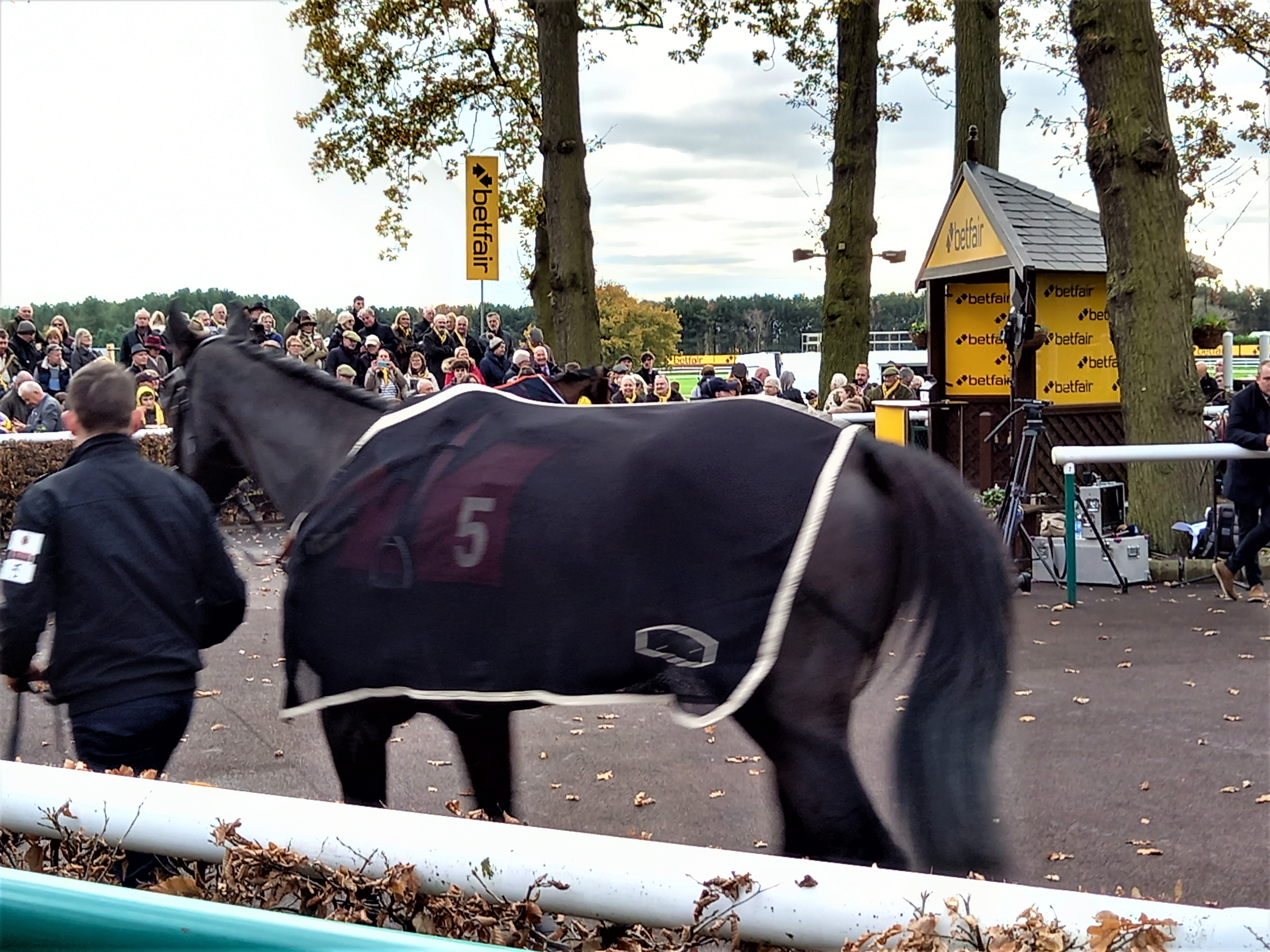 Haydock Park Parade Ring