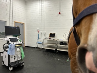 Heart Murmur Check Heart Murmur Check