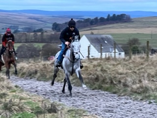 On The Gallops