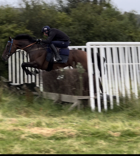 Nathan Schooling Jimlis Island