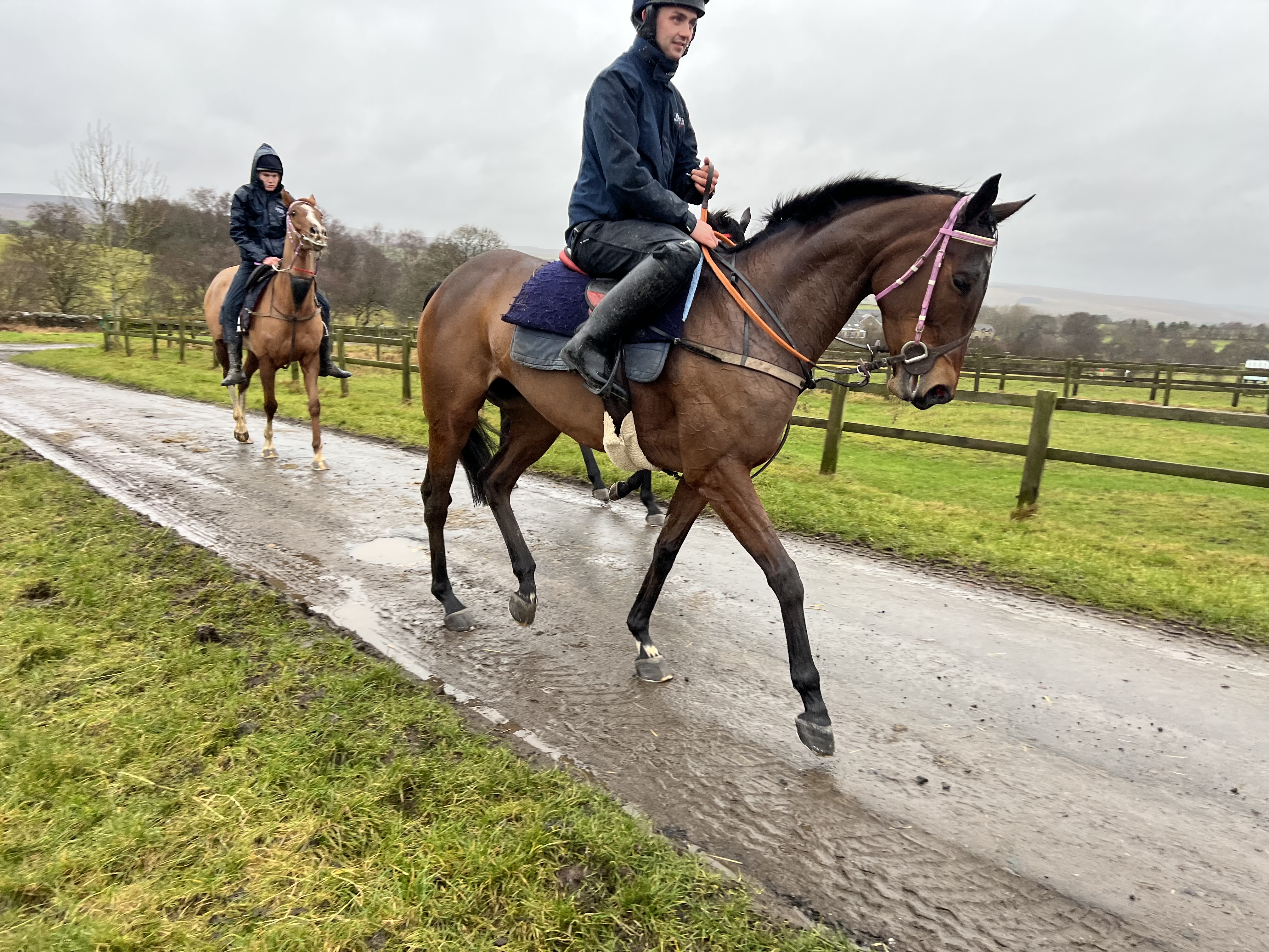 Racehorses Riding Out Racehorses Riding Out