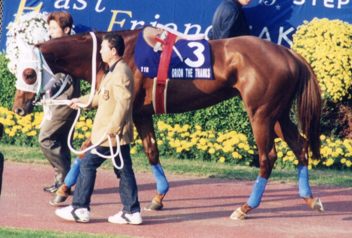 Orion The Thanks First Japan Triple Crown Winner