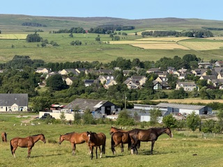 A peaceful early morning at Girsonfield