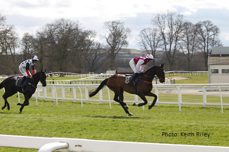 Jumps Racing in Scotland
