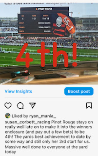 Pinot Rouge gains 4th place at Aintree