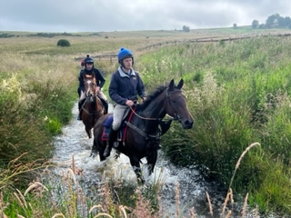 Rogers Dream goes to Redcar