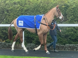 Samwise at Catterick Samwise at Catterick