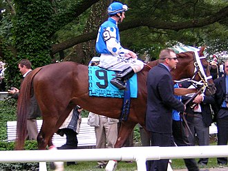 Smarty Jones at the 2004 Belmont Stakes