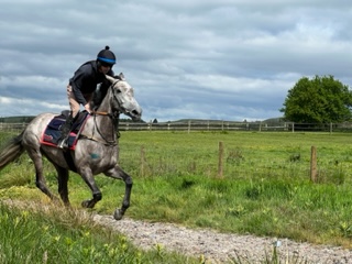 Sunset Hill – taking well to her work