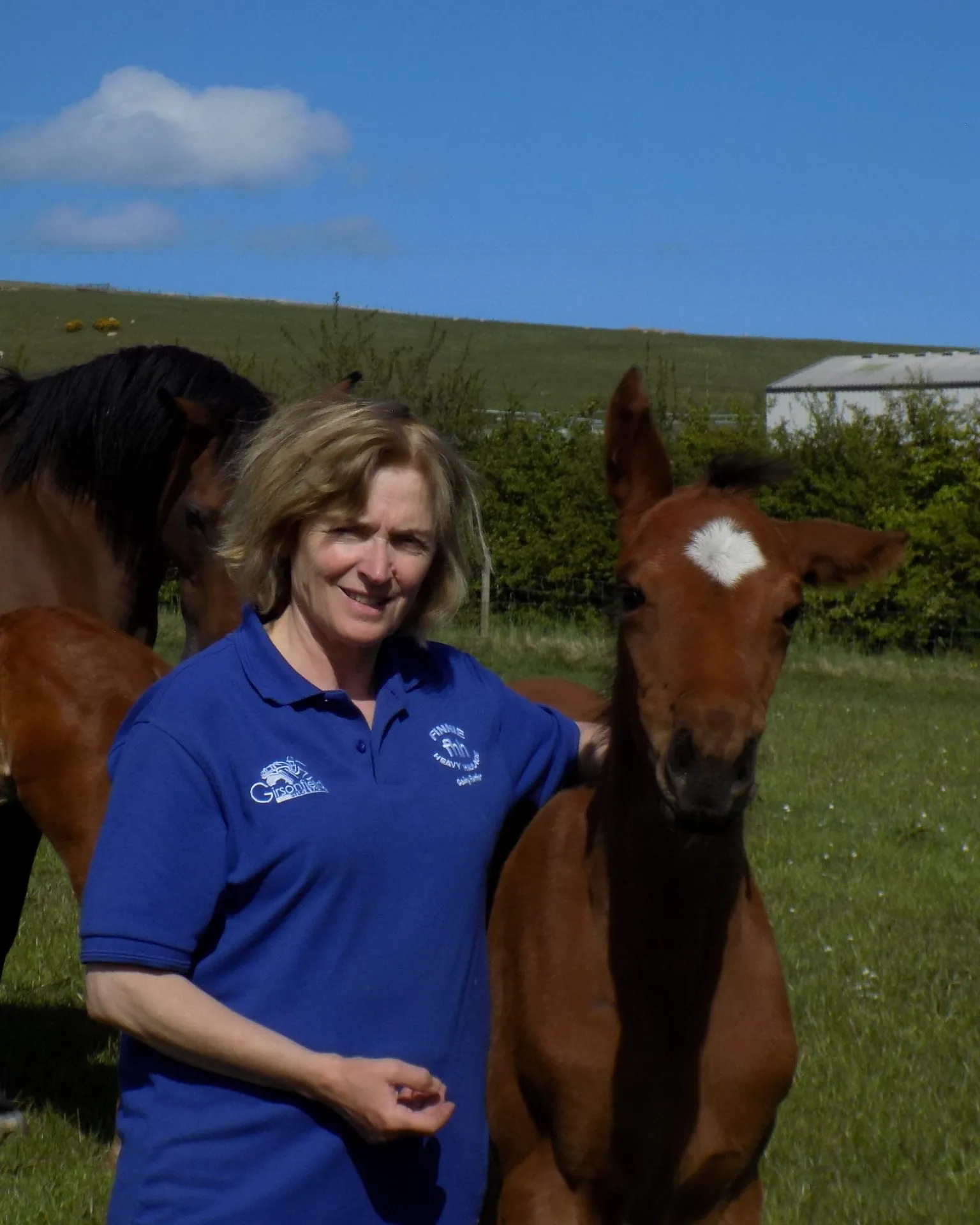 A Family Run Equestrisn Racing Yard Run By Susan Corbett A Family Run Equestrisn Racing Yard Run By Susan Corbett