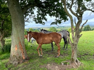 Theatre Light and the girls