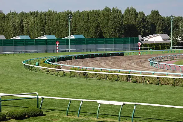 E.P. Taylor Stakes Turf Race Track 