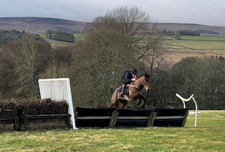 Wotyoudunnow Buddy in training