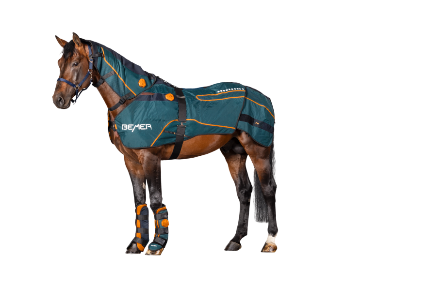 Bemer Treatment For Horses Jacket Bemer Treatment For Horses Jacket