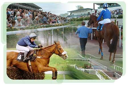 Horse Trainers at Chester Racecourse Horse Trainers at Chester Racecourse