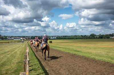 Horse Racing on The Flat
