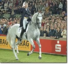 Dressage Horse