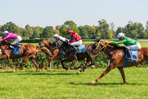Traditional Horse Racing