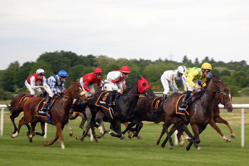 About betting on horses forex previews
