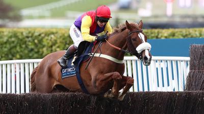 Native River wearing a noseband