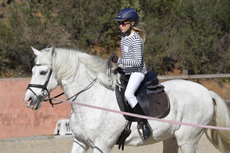 Horse Clubs and Horsemanship Horse Clubs and Horsemanship