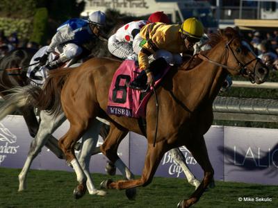 Wise Dan Wins Breeders Cup